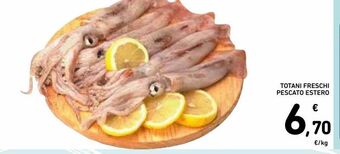 Spazio Conad Totani freschi pescato estero offerta