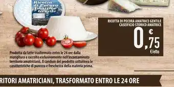 Ricotta di pecora amatrice gentile caseficio storico amatrice