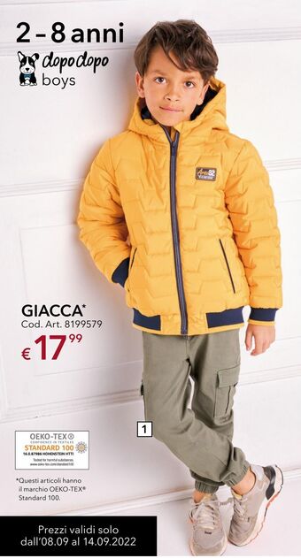 Giacca