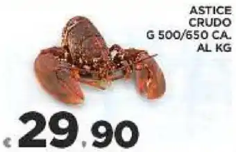 Deco Supermercati Astice Crudo 500/650 g ca. al kg offerta