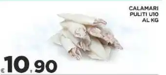 Deco Supermercati Calamari Pulito U10 al kg offerta