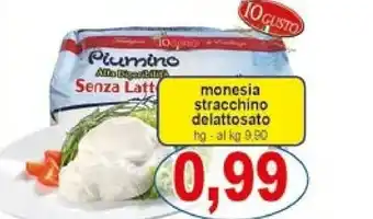 Gros Stracchino Monesia offerta