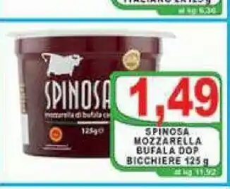 Gros Spinosa Mozzarella di bufala 125 g offerta