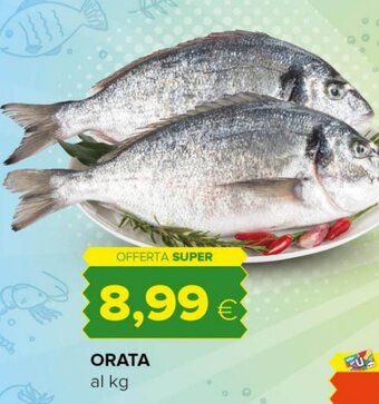 Oasi Orata offerta