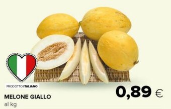 Oasi Melone Giallo offerta