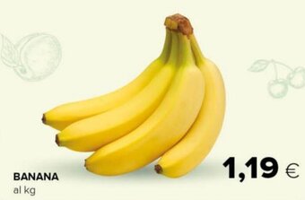 Oasi Banana offerta