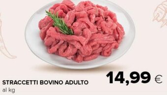 Oasi Straccetti Bovino Adulto offerta