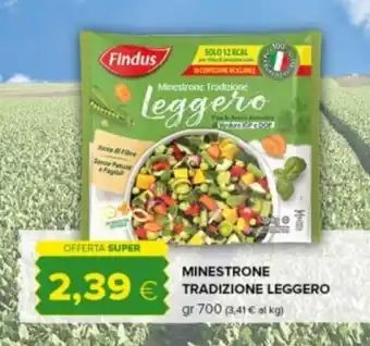 Oasi Findus Minestrone tradizione leggero 700 gr offerta