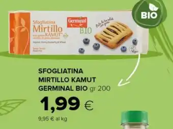 Oasi Germinal Bio Sfogliatina Mirtillo Kamut 200 gr offerta