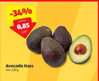 ALDI Avocado hass offerta