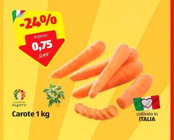 ALDI Carote 1 kg offerta