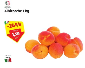 ALDI Albicocche 1 kg offerta