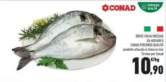 Conad Orate Italia Fresche offerta
