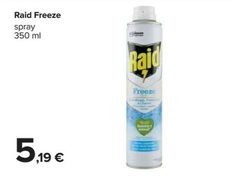 Carrefour Raid Insetticida offerta