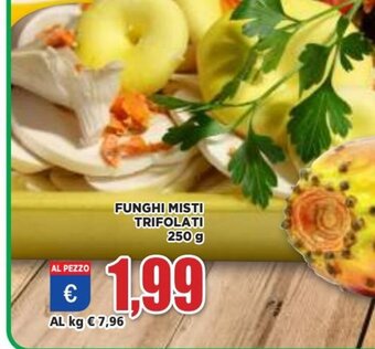 Vivo Supermercati Funghi Misti Trifolati 250 g offerta