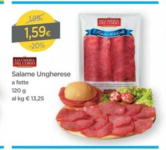 DPiù Salumeria del corso Salame Ungherese A Fette offerta