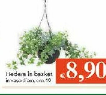 Galassia Piante offerta