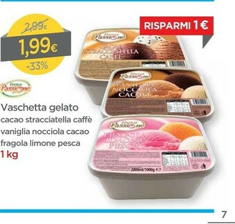 DPiù Fresca passione Vaschetta Gelato Cacao offerta