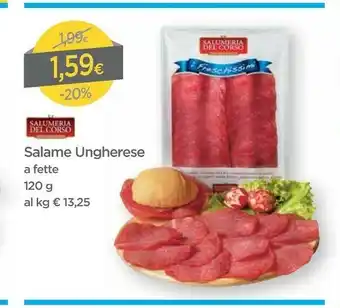 DPiù Salumeria del corso Salame Ungherese A Fette offerta