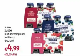 Futura Supermercati Zuegg Succo mirtillo/melograno/frutti rossi 6x125 ml offerta
