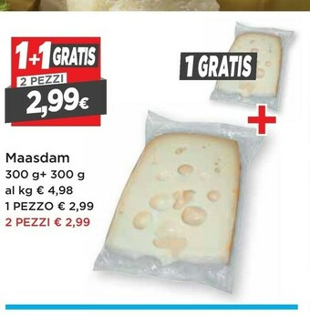 DPiù Dpiu Maasdam offerta