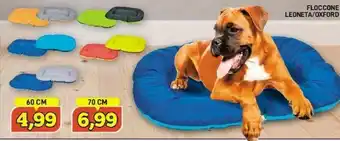 Maury's Cesar Cibo per cani offerta