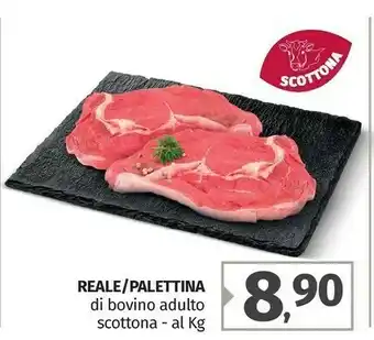Pam Reale/ Palettina Di Bovino Adulto Scottona offerta