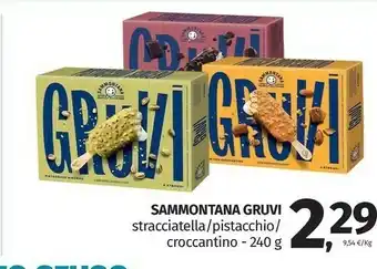 Pam Sammontana Gruvi Stracciatella/ Pistacchio/ Croccantino offerta