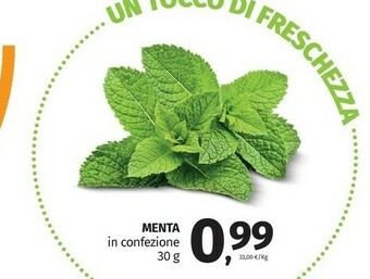 Menta