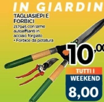 Orizzonte Forbici per potatura offerta