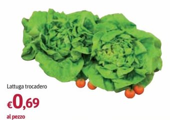 Futura Supermercati Lattuga trocadero offerta
