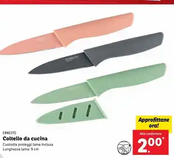 Lidl Coltello da cucina offerta