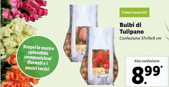 Lidl Bulbi di tulipano offerta
