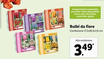 Lidl Bulbi da fiore offerta