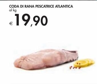 Bennet Coda di rana pescatrice atlantica offerta