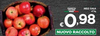 Bennet Mele gala offerta