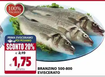 Il Gigante Branzino 500-800 eviscerato offerta
