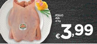 Bennet Pollo aia offerta