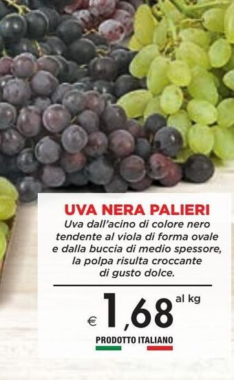 Bennet Uva nera palieri offerta