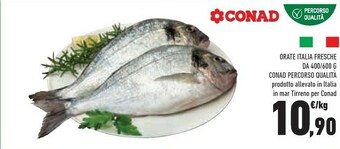 Conad Orata offerta