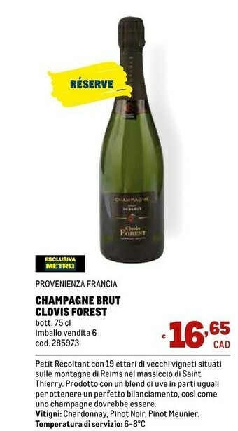 Metro Brut Champagne offerta