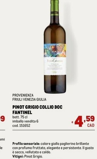 Metro Venezia Vino bianco offerta