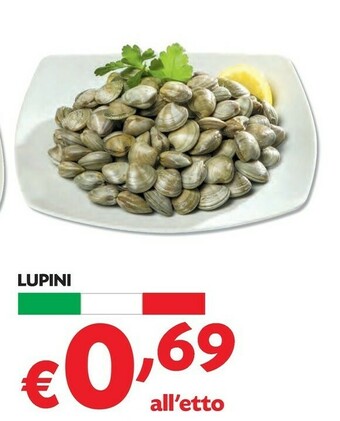 Pam Lupini offerta
