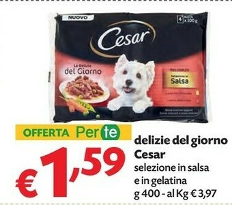 Pam Cesar Delizie Del Giorno offerta