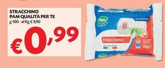 Pam Pam & Panorama - Stracchino 100 G(ml) offerta