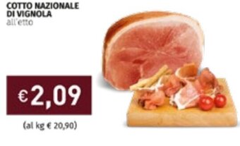 Prezzemolo e Vitale Cotto Nazionale di Vignola offerta