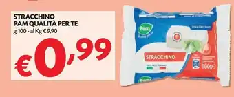 Pam Pam & Panorama - Stracchino 100 G(ml) offerta