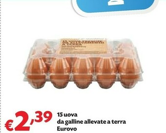 Eurovo 15 Uova Da Galline Allevate A Terra