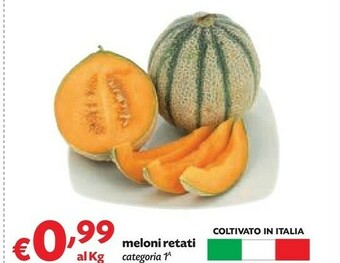 Pam Meloni Retati offerta