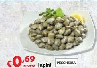 Lupini